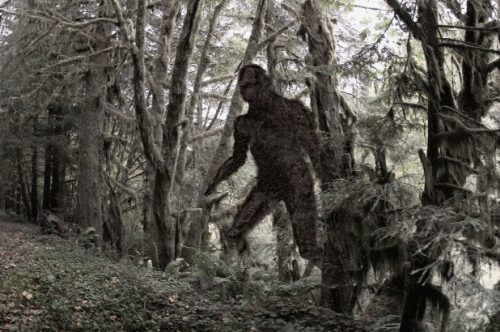 Why we’re obsessed with the Bigfoot legend at the center of Hulu’s ‘Sasquatch’